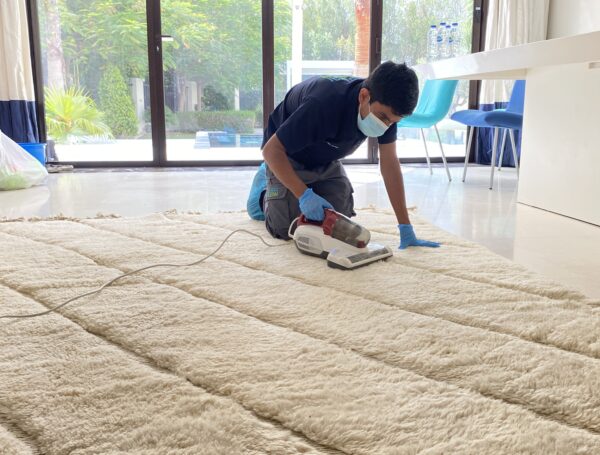 Professional Carpet Cleaning Near Me in Reading PA Today