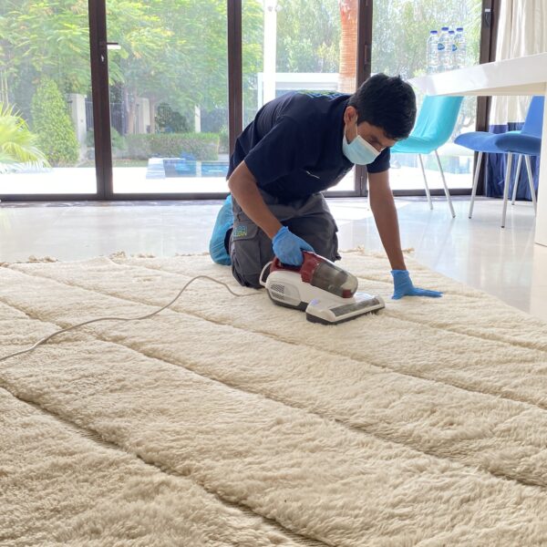 professional carpet cleaning