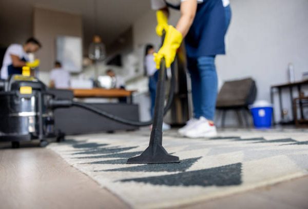 Expert Carpet Cleaning Services in Reading, PA