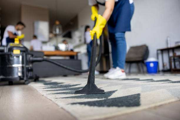 Expert Carpet Cleaning Services in Reading, PA