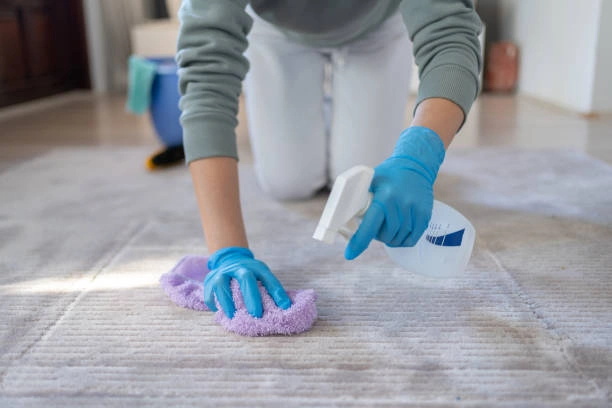 Professional Carpet Cleaning Services Near Me in Reading PA