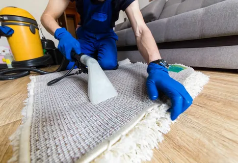 Carpet Cleaning Services in Reading PA