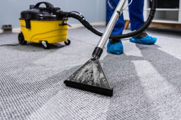 Carpet Cleaning Services in Shillington PA