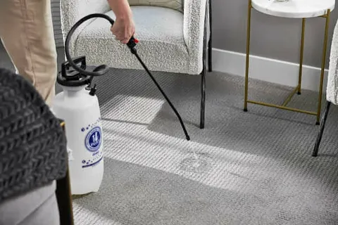 Who Offers Affordable Residential Carpet Cleaning In Wyomissing, PA?