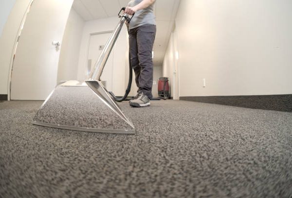 Why Choose Professional Carpet Cleaning Service in Reading, PA?