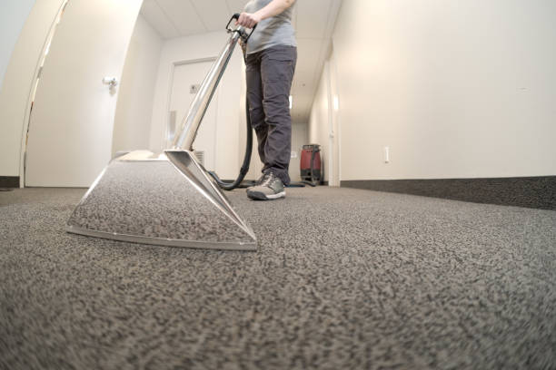 Professional Carpet Cleaning