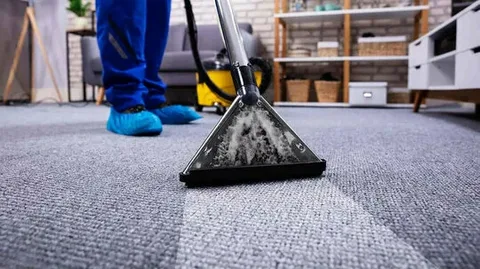 What Makes Residential Carpet Cleaning In West Lawn, PA Worth It?