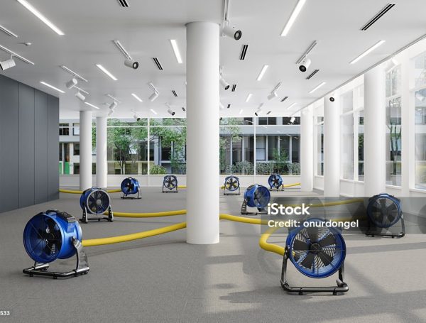 Expert Water Damage Restoration services in Sinking Spring, PA
