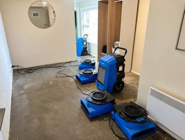 Reliable Emergency Water Extraction in Shillington, PA 