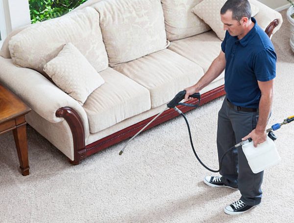 Professional Carpet Cleaning That Lasts in Reading, PA Home