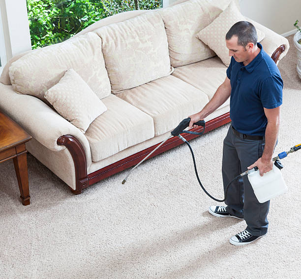 Professional Carpet Cleaning