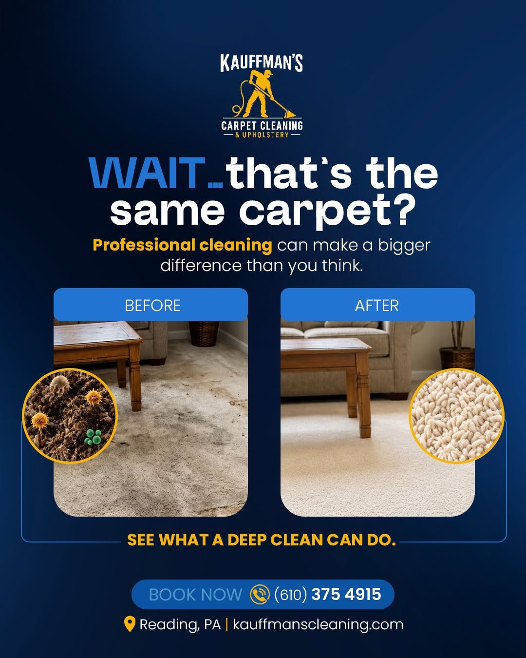 Kauffman's carpet cleaning