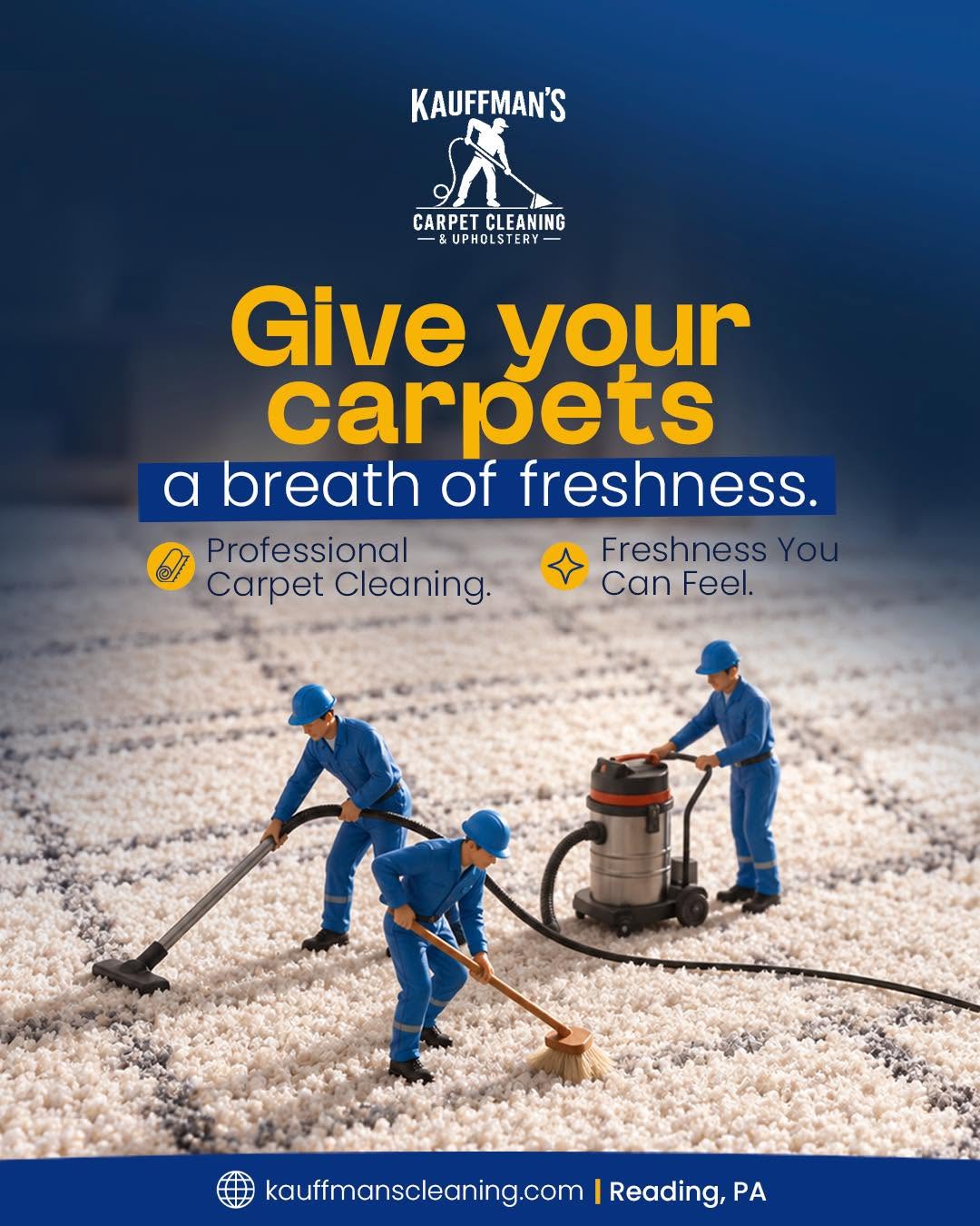 Professional carpet cleaning