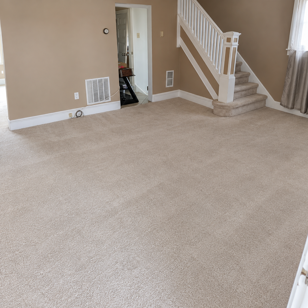 Clean carpet after professional cleaning
