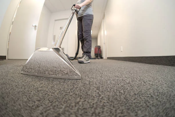 Professional Carpet Cleaning