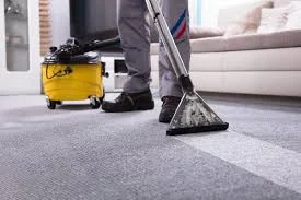 Carpet Cleaning Experts